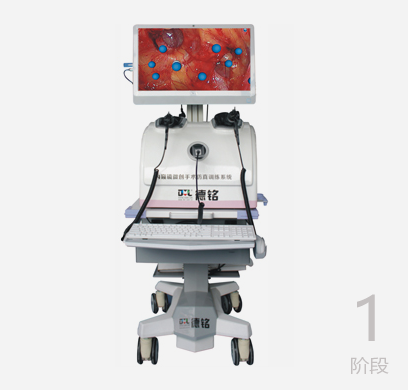 少妇性BBB搡BBB爽爽爽欧美