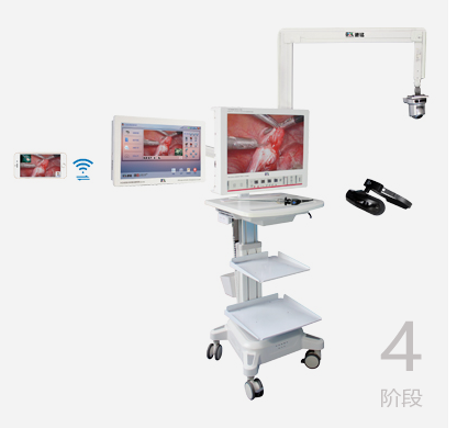 少妇性BBB搡BBB爽爽爽欧美