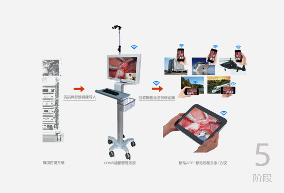 少妇性BBB搡BBB爽爽爽欧美