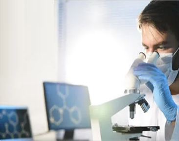 少妇性BBB搡BBB爽爽爽欧美