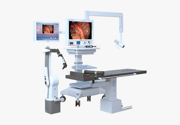 少妇性BBB搡BBB爽爽爽欧美