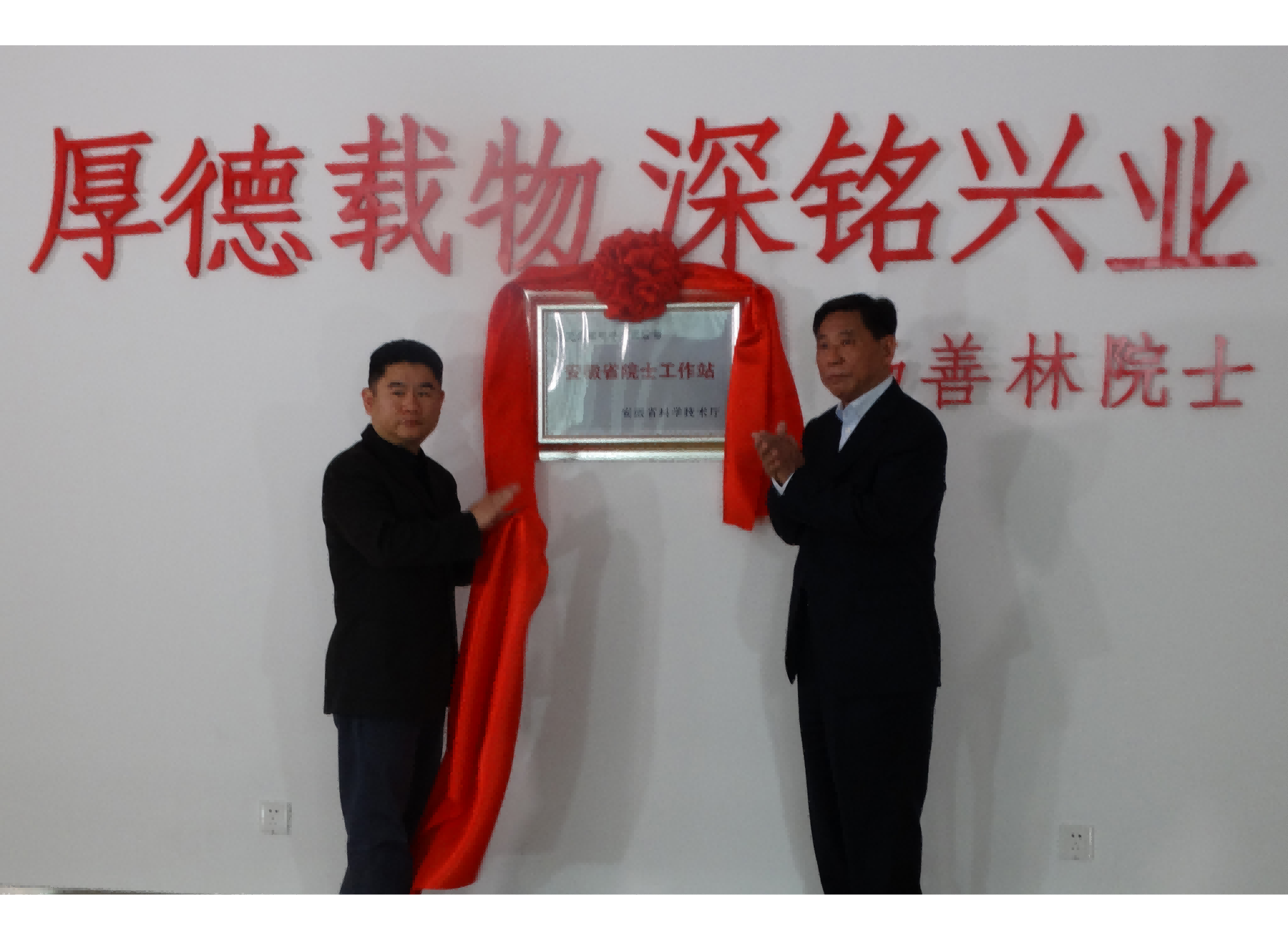 少妇性BBB搡BBB爽爽爽欧美