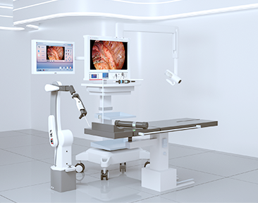 少妇性BBB搡BBB爽爽爽欧美