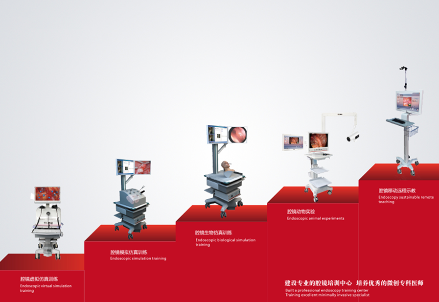 少妇性BBB搡BBB爽爽爽欧美