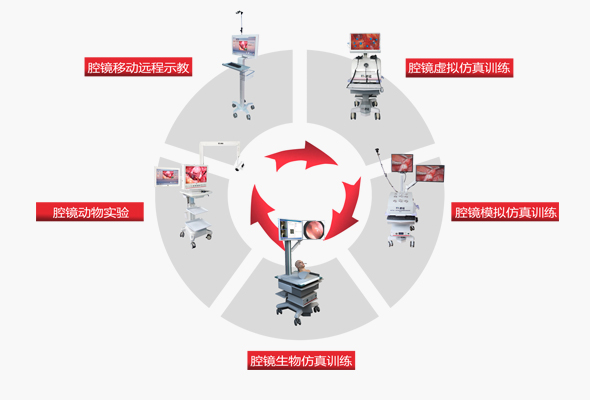 少妇性BBB搡BBB爽爽爽欧美