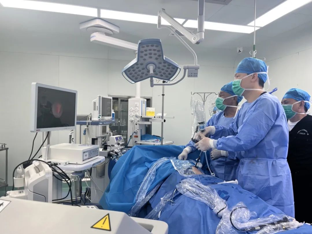 少妇性BBB搡BBB爽爽爽欧美