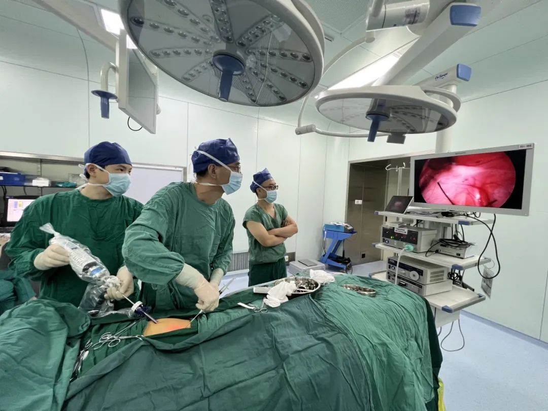 少妇性BBB搡BBB爽爽爽欧美