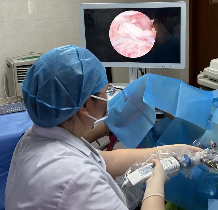 少妇性BBB搡BBB爽爽爽欧美