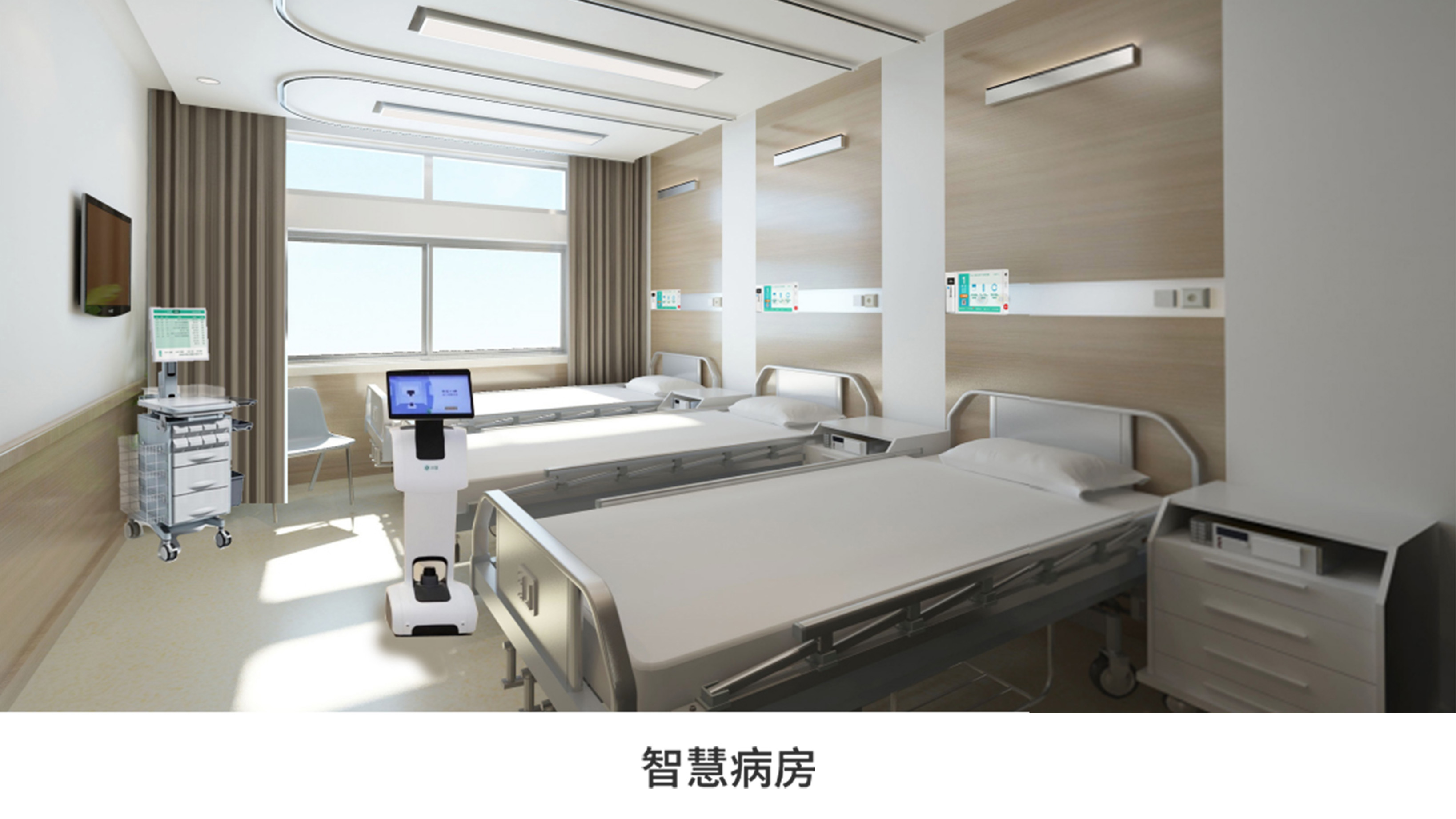 少妇性BBB搡BBB爽爽爽欧美