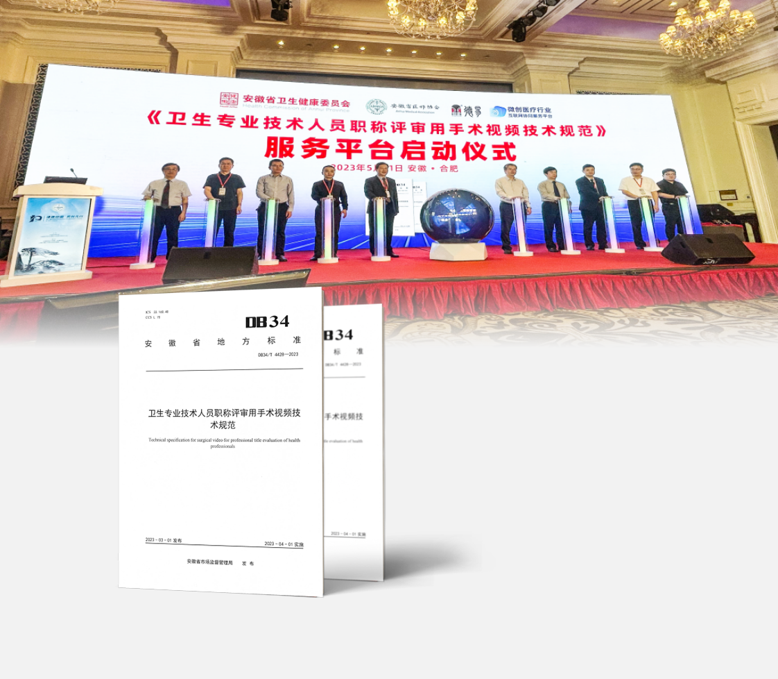 少妇性BBB搡BBB爽爽爽欧美