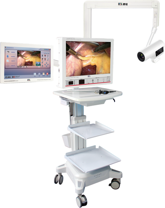 少妇性BBB搡BBB爽爽爽欧美